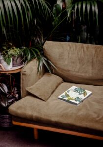 Comfy couch surrounded by plants